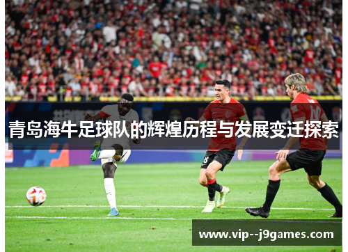 青岛海牛足球队的辉煌历程与发展变迁探索 青岛海牛足球队的辉煌历程与发展变迁探索